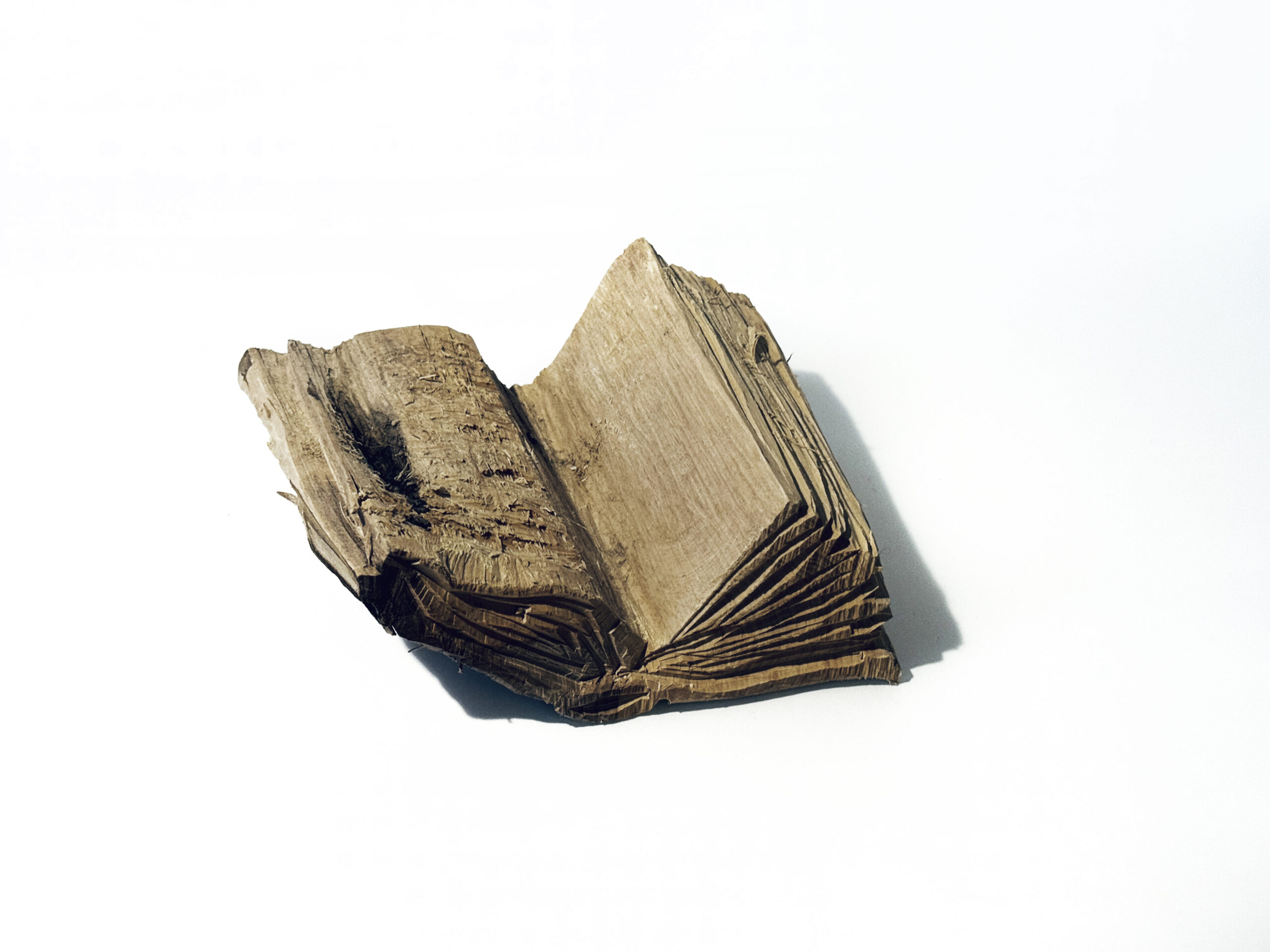 Booklet