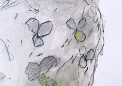 Flora und Farbe