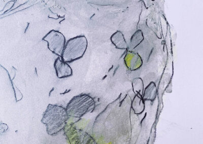 Flora und Farbe