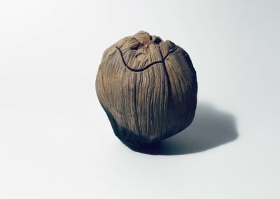 Knob