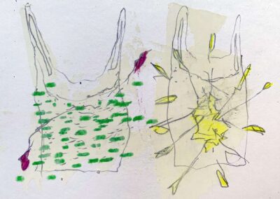 Netz-Herbarium